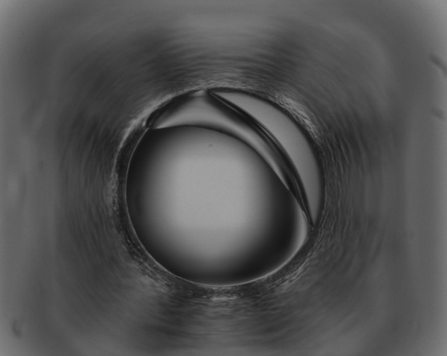 X0000091720388200709071441