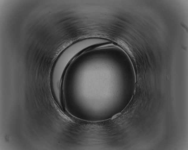 X0000091720389200709071441