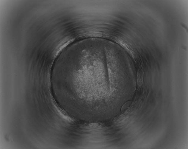 X0000091720390200709071441