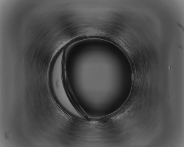 X0000091720391200709071441