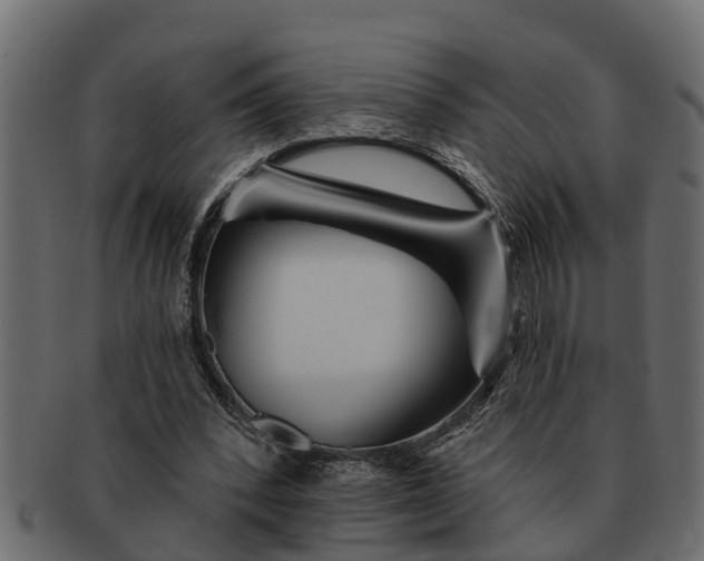 X0000091720392200709071441