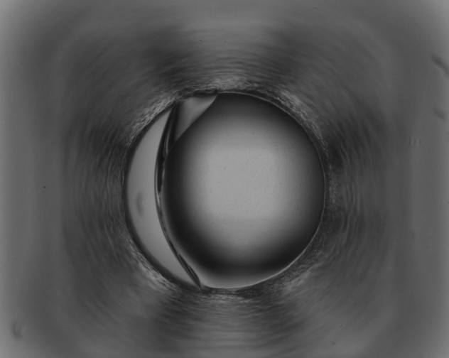 X0000091720393200709071441