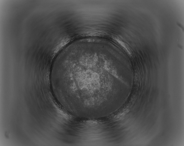 X0000091720394200709071440