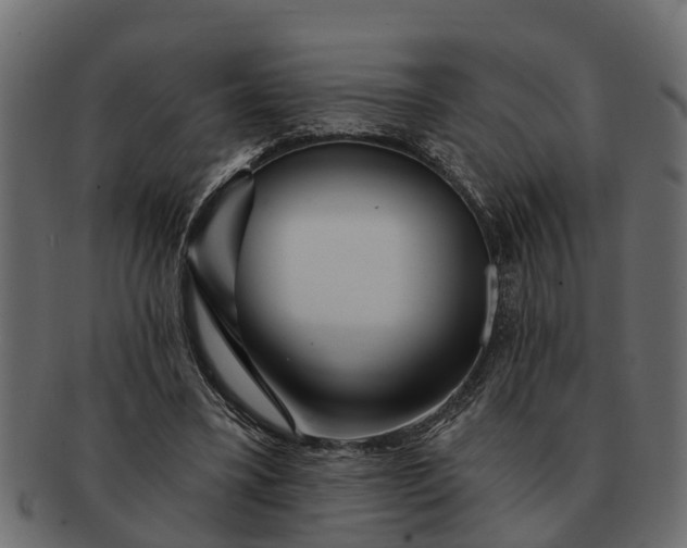 X0000091720395200709071440