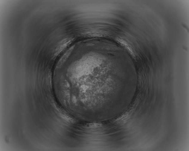 X0000091720398200709071440