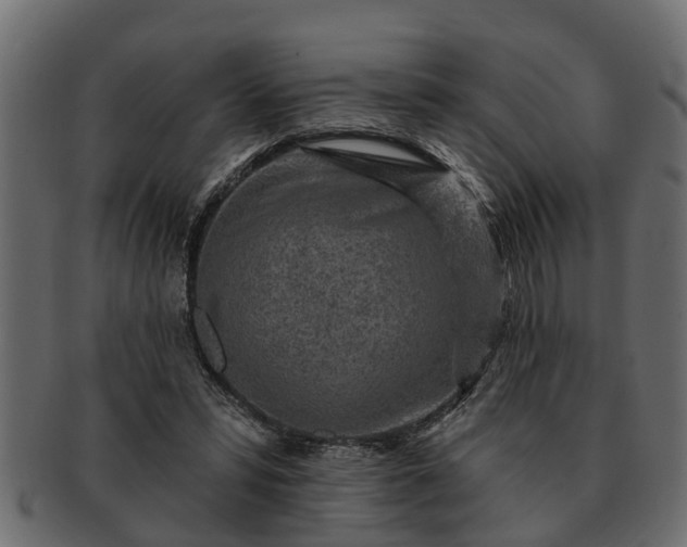 X0000091720399200709071440