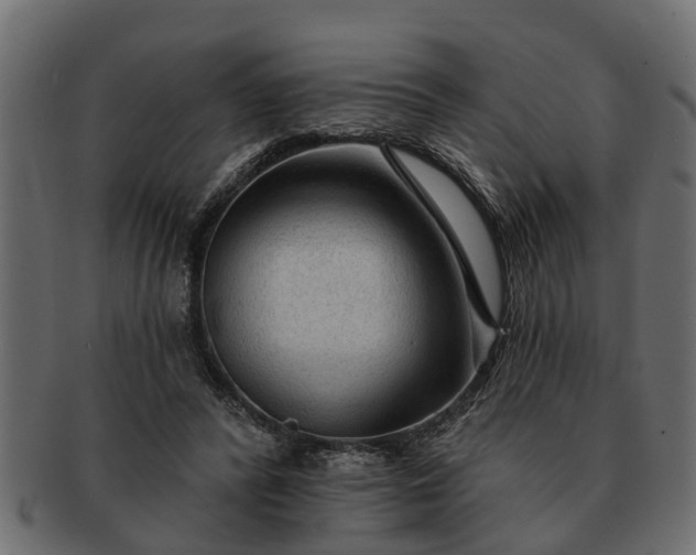 X0000091720400200709071440