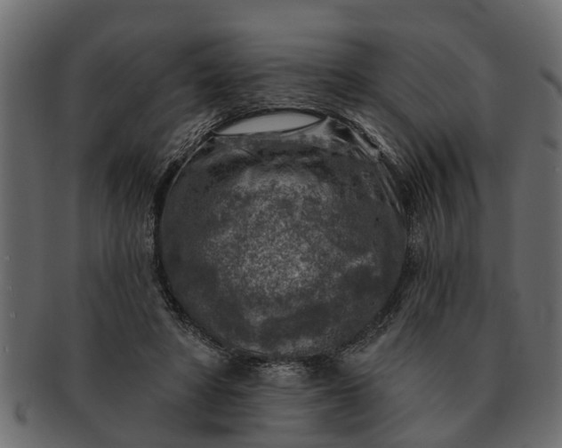 X0000091720402200709071440