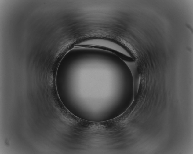 X0000091720403200709071440