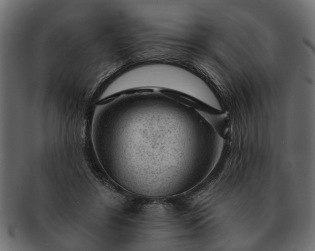 X0000091720404200709071440