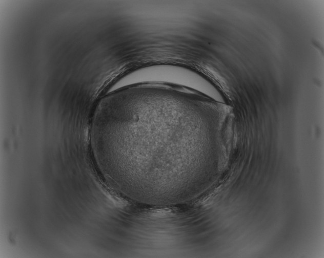 X0000091720405200709071440