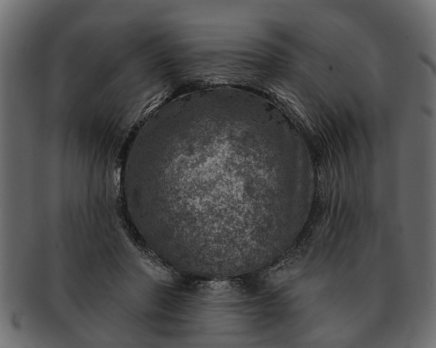 X0000091720406200709071440