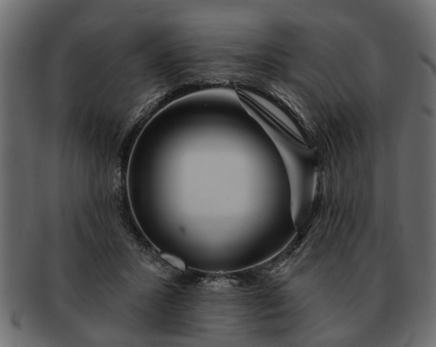 X0000091720407200709071440