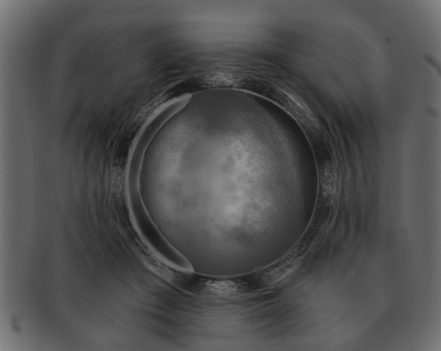 X0000091720409200709071440