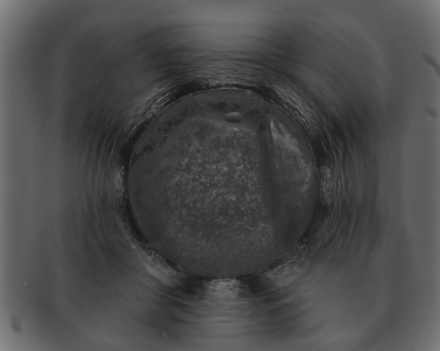 X0000091720410200709071440