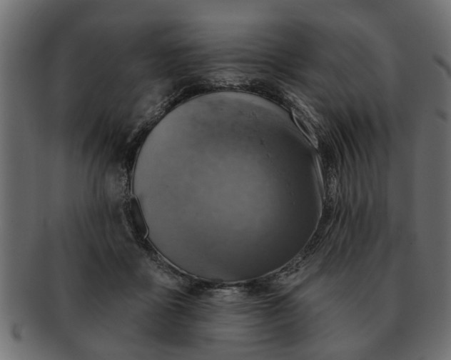 X0000091720411200709071440