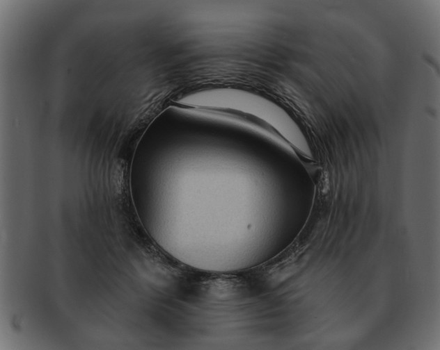 X0000091720412200709071440