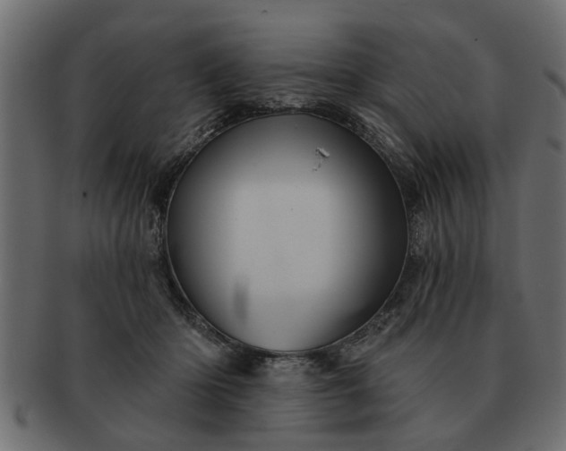 X0000091720414200709071440