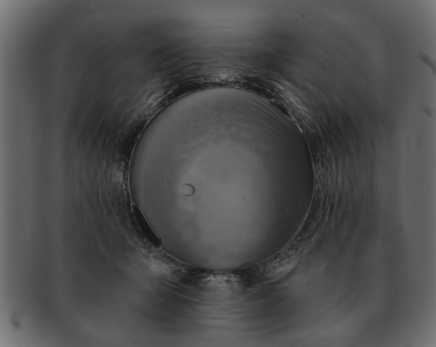 X0000091720415200709071440