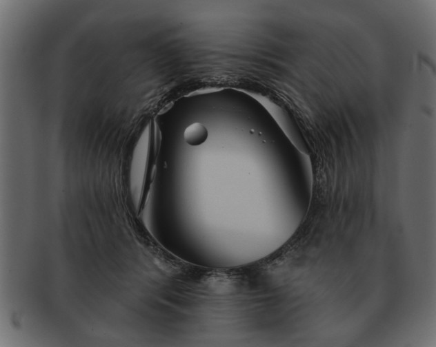 X0000091720416200709071440