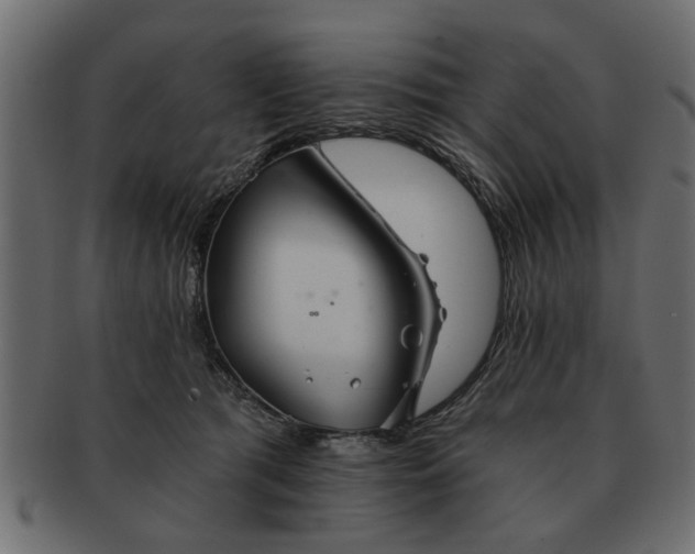 X0000091720417200709071440