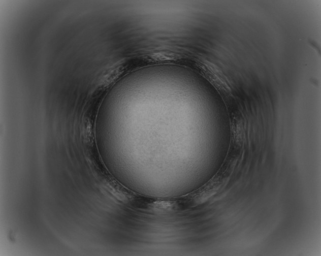 X0000091720418200709071440