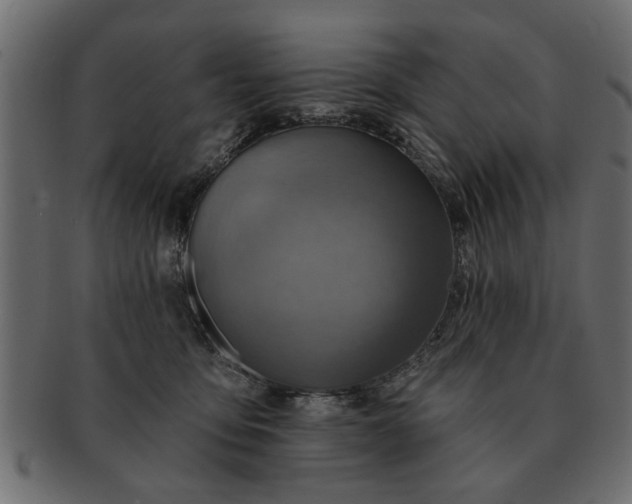 X0000091720419200709071440