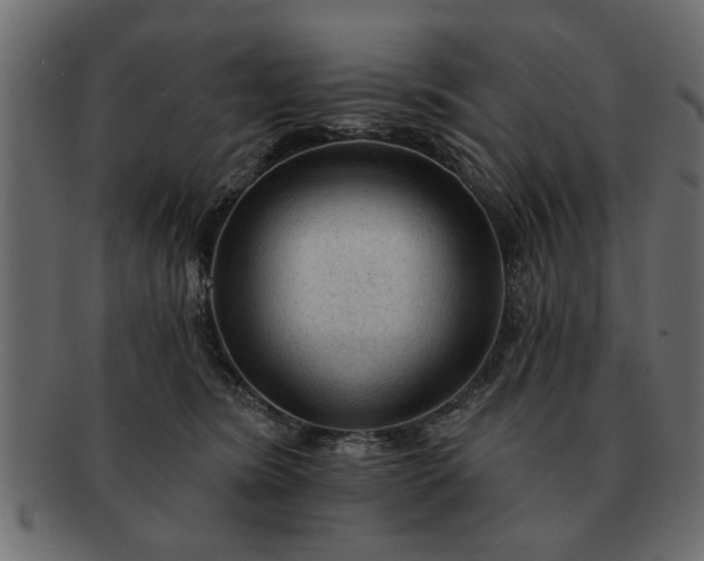 X0000091720420200709071440