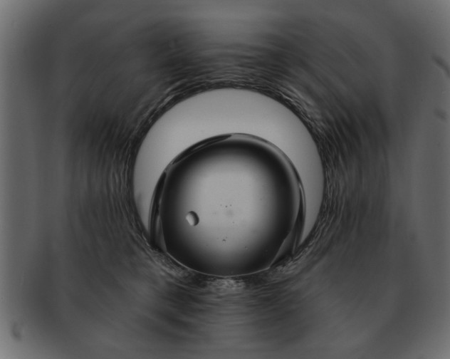 X0000091720421200709071440