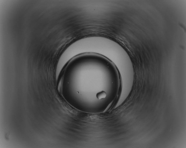 X0000091720423200709071440