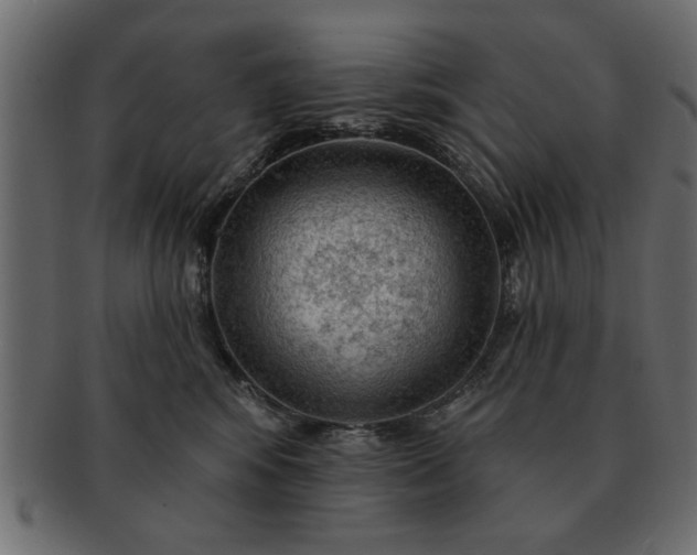 X0000091720424200709071440