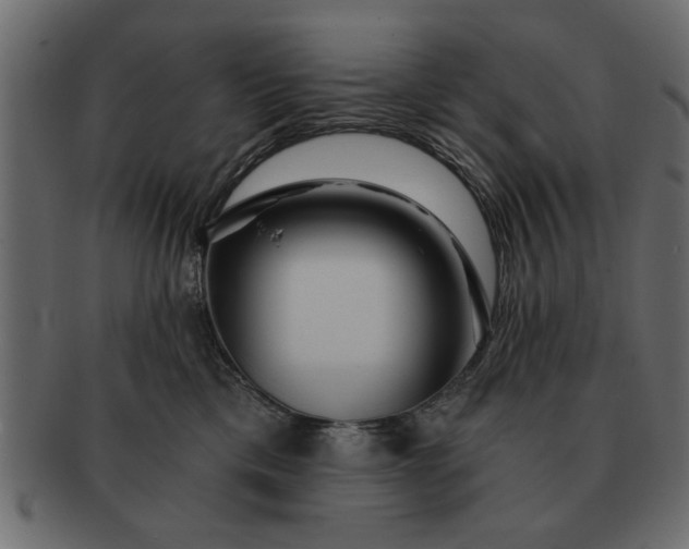 X0000091720425200709071440