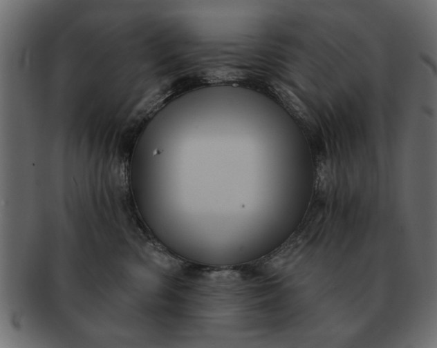 X0000091720426200709071440