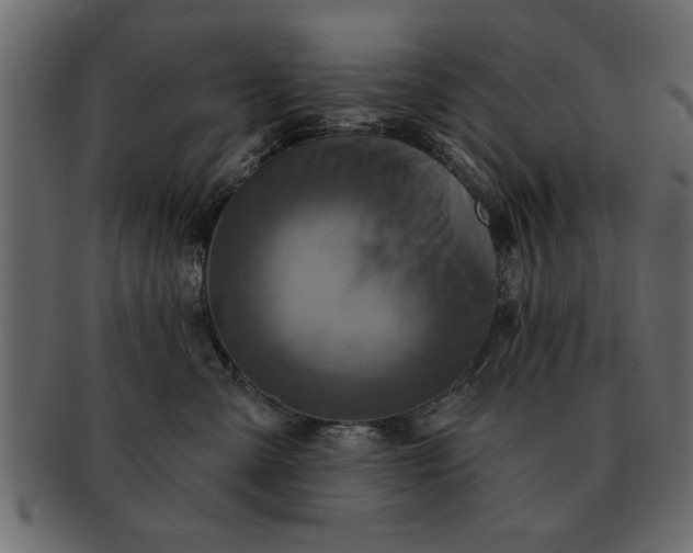 X0000091720427200709071440