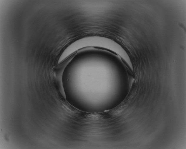 X0000091720428200709071440