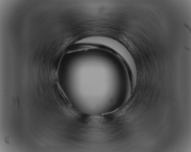 X0000091720429200709071440