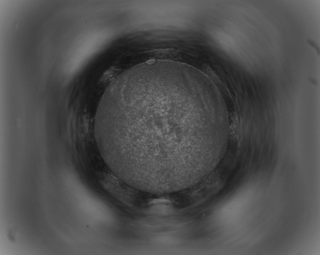 X0000091720430200709071440