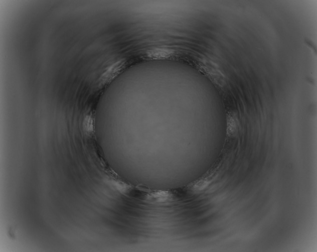 X0000091720431200709071440