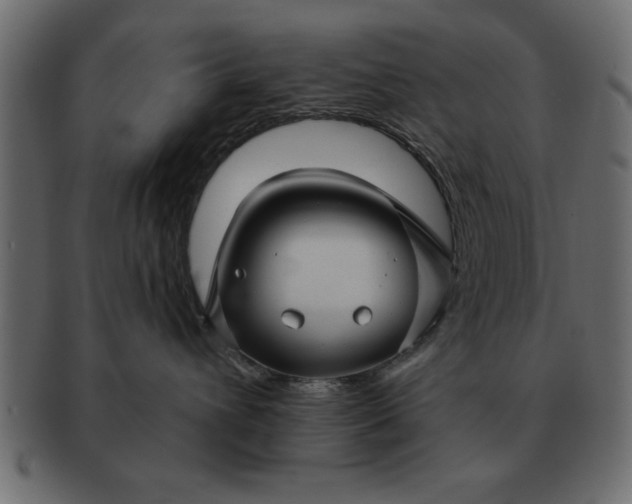 X0000091720432200709071440