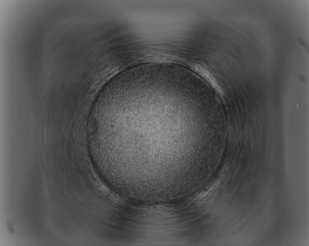 X0000091720433200709071439