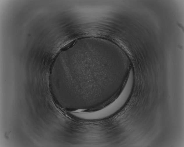 X0000091720434200709071439