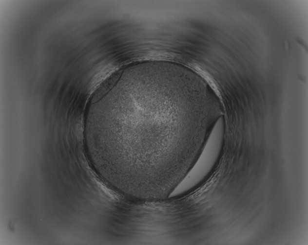 X0000091720437200709071439