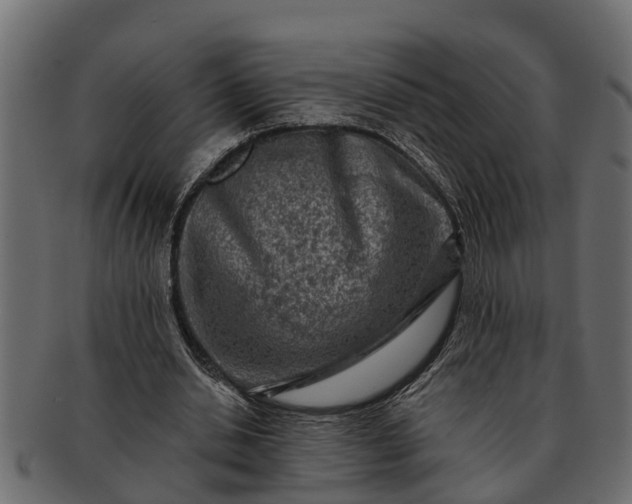 X0000091720438200709071439