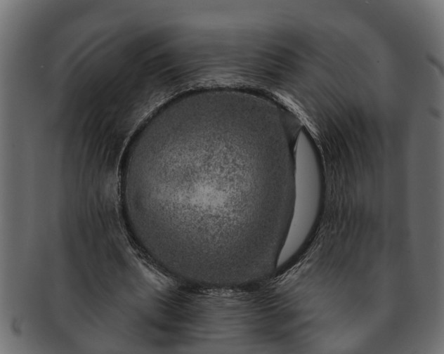 X0000091720439200709071439