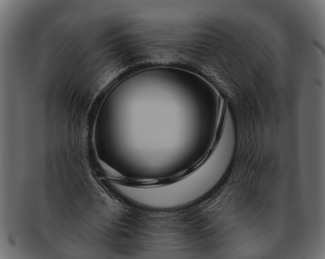 X0000091720440200709071439