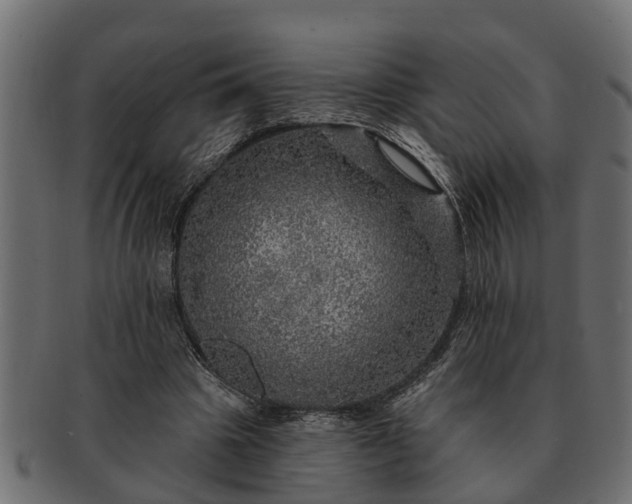 X0000091720441200709071439