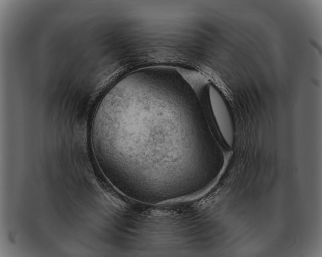 X0000091720442200709071439