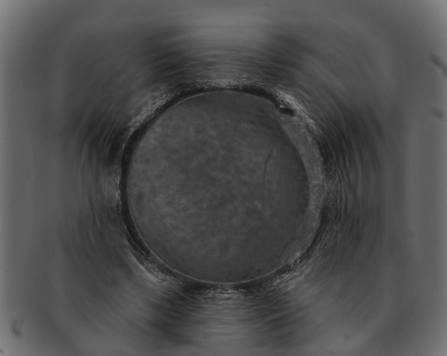 X0000091720443200709071439