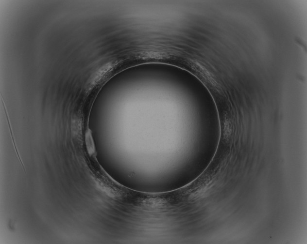 X0000091720444200709071439