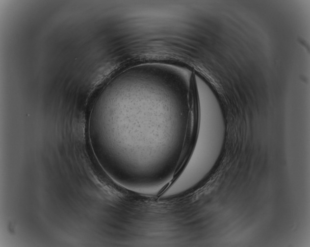 X0000091720446200709071439